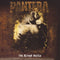 Pantera – Far Beyond Driven (Gatefold) (Double Vinyl) (Reissue)