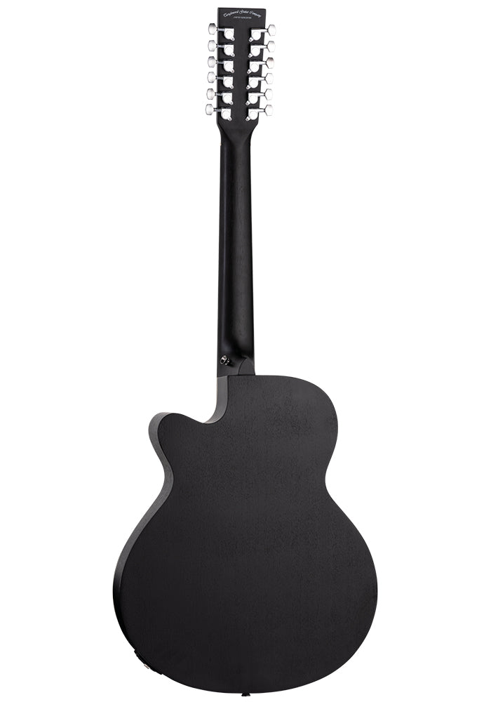 Tanglewood Blackbird 12-String Electro Acoustic