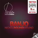 Picato 6 String Banjo - Light