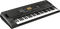 Korg - EK50 - Entertainer Keyboard